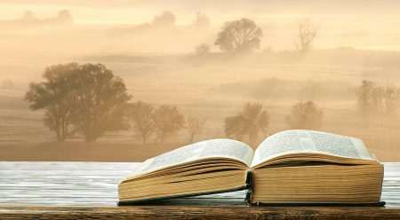 Click here for an online Bible study resource